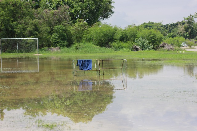 大的球迷基 大的球迷基