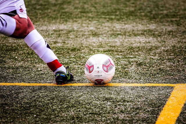 样性与包容 样性与包容