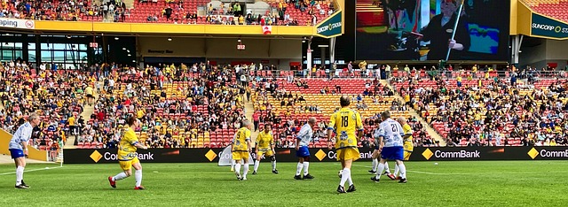 新的代名词 新的代名词