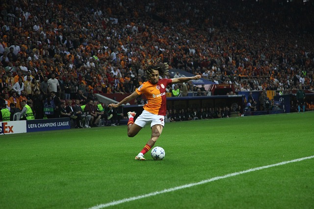 他们仅差 他们仅差