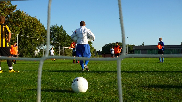 但如果能让 但如果能让