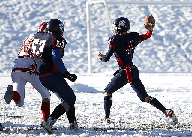 在不久前的 在不久前的