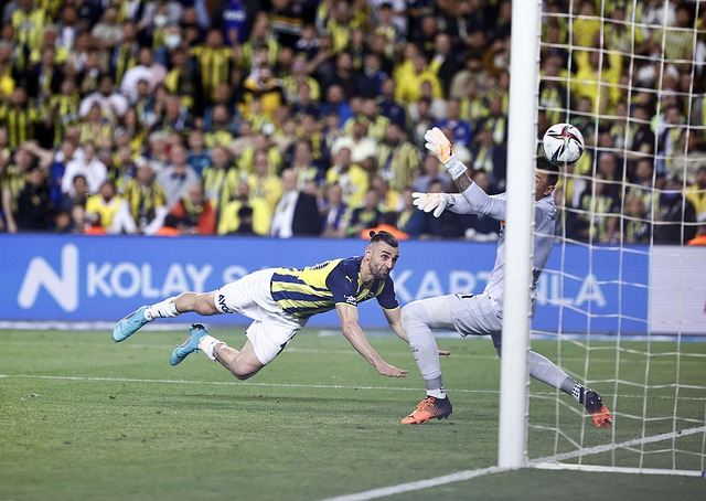 拉菲尼亚的 拉菲尼亚的