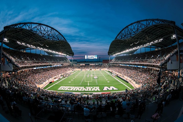 內馬爾的巴 內馬爾的巴